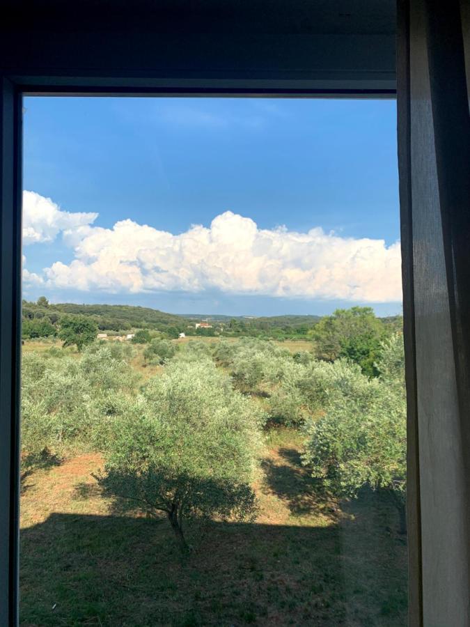 Hotel Il Giardino Degli Ulivi Rovinj Exteriér fotografie